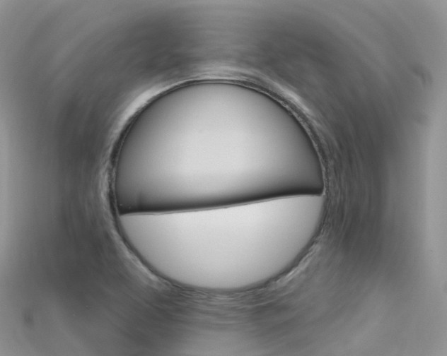 X0000115691463200911120957