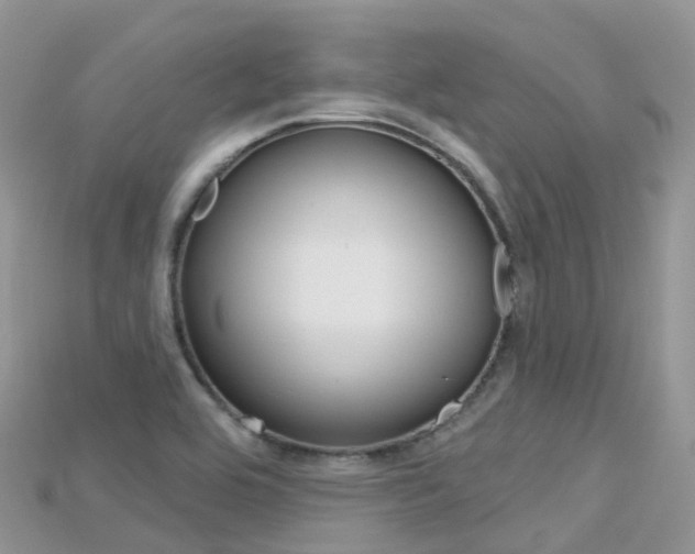 X0000115691464200911120957