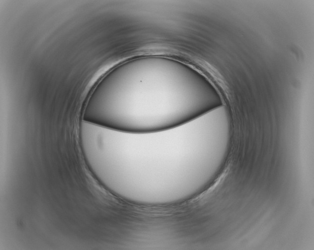 X0000115691465200911120957