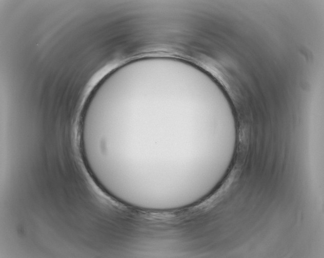 X0000115691466200911120957