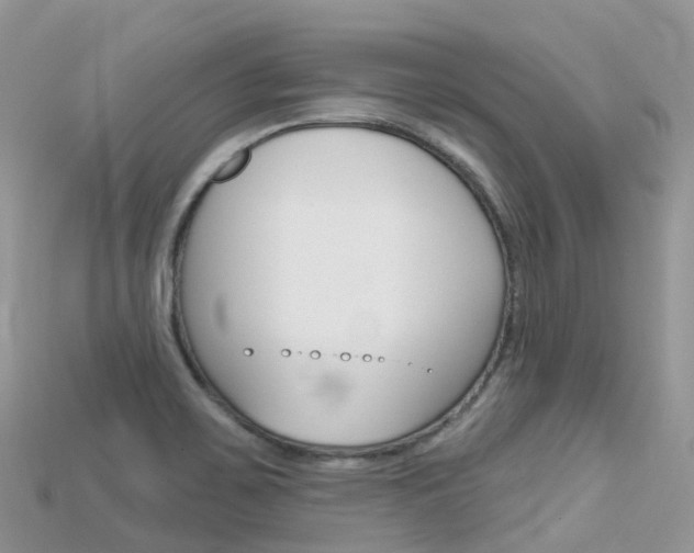 X0000115691467200911120957