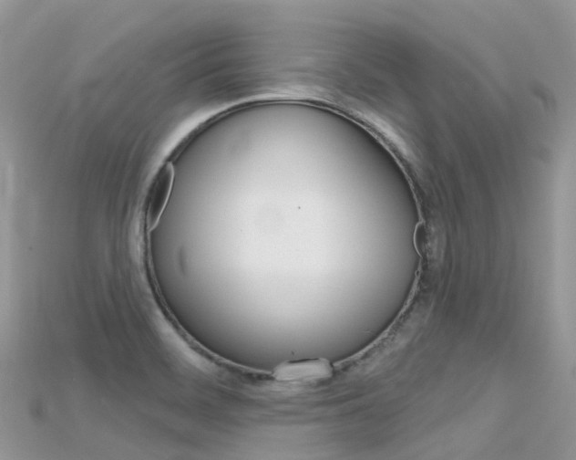 X0000115691468200911120957