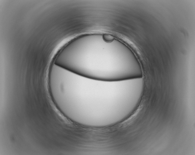 X0000115691469200911120957