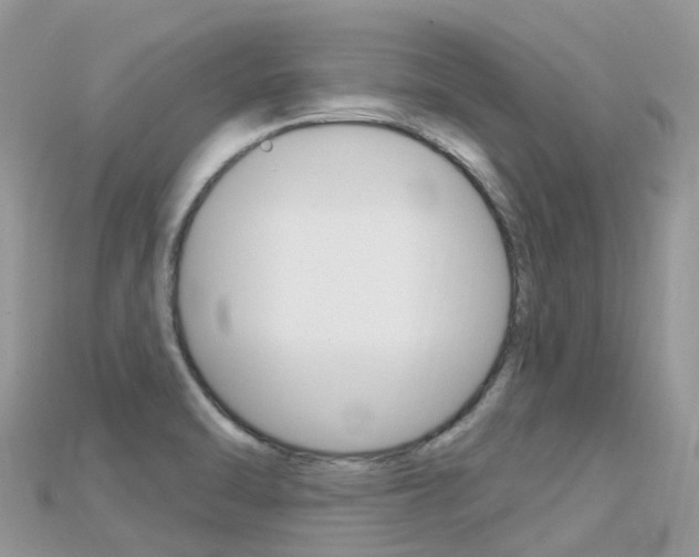 X0000115691470200911120957