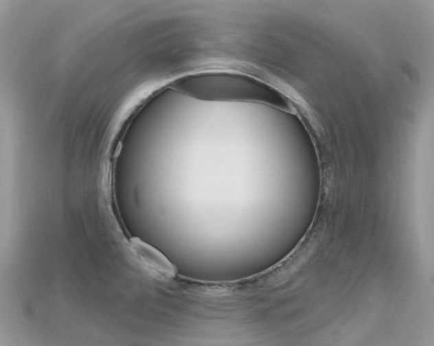 X0000115691472200911120957
