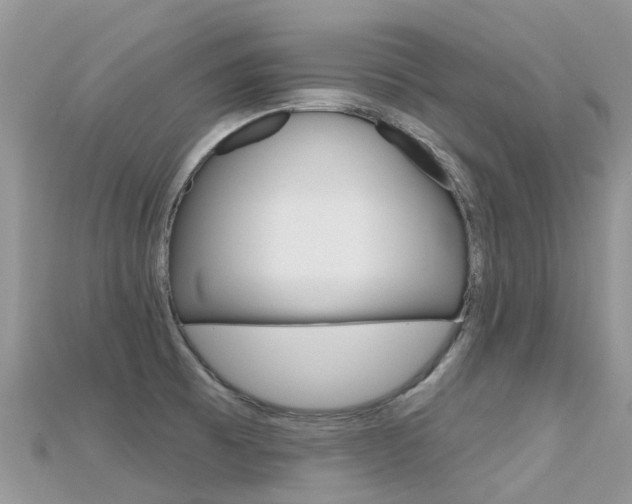 X0000115691473200911120957