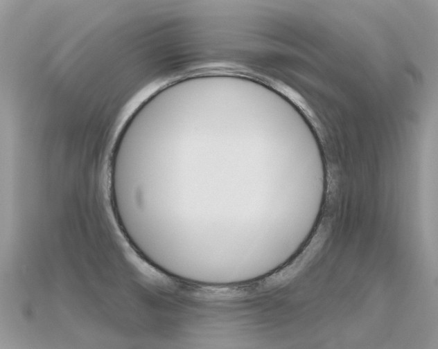X0000115691474200911120957