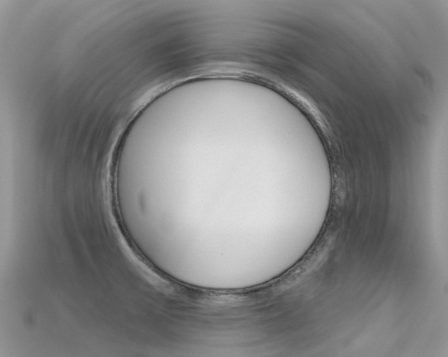 X0000115691475200911120957