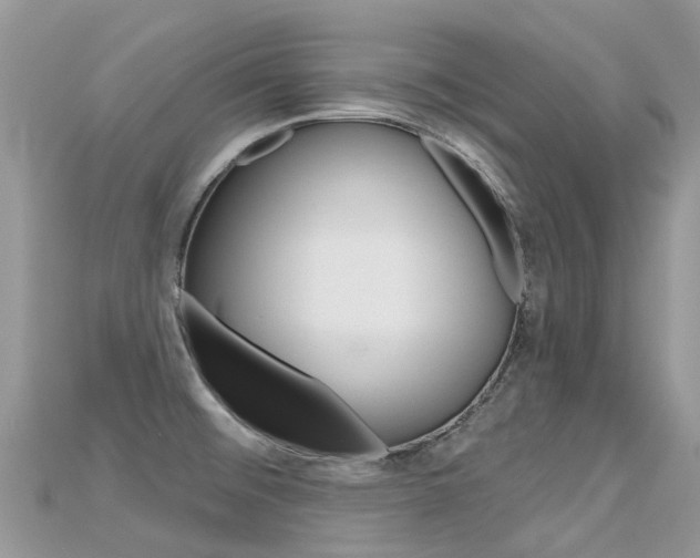 X0000115691476200911120957