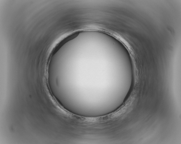 X0000115691477200911120957