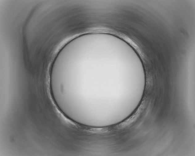 X0000115691478200911120957
