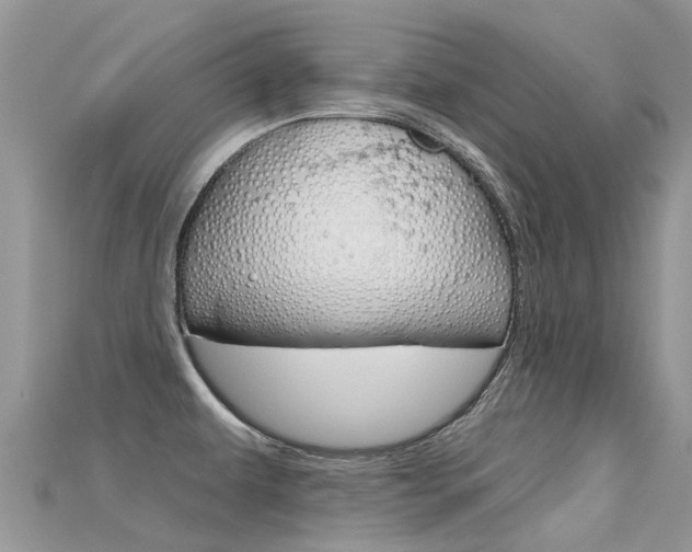 X0000115691479200911120957