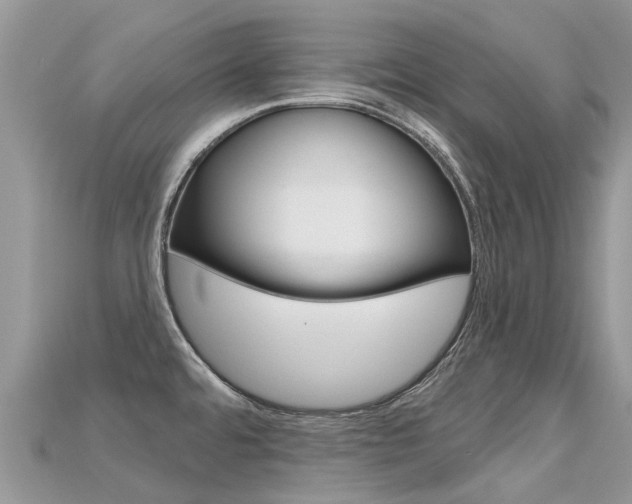 X0000115691480200911120957