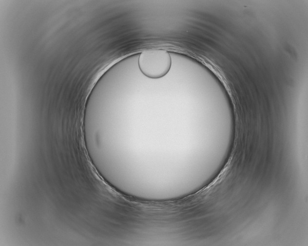 X0000115691481200911120957