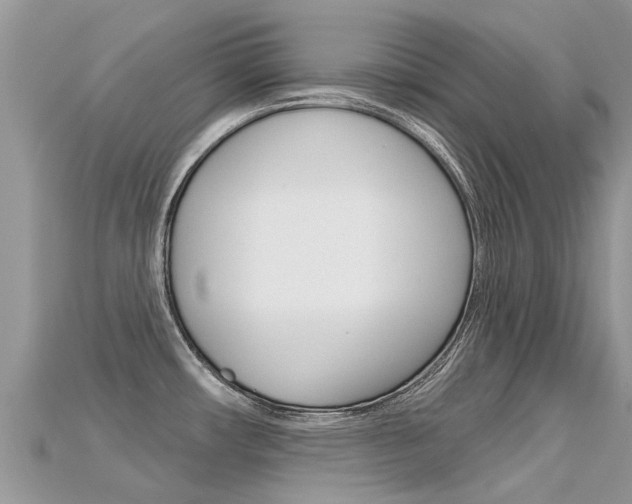 X0000115691482200911120957