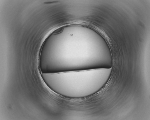 X0000115691483200911120957