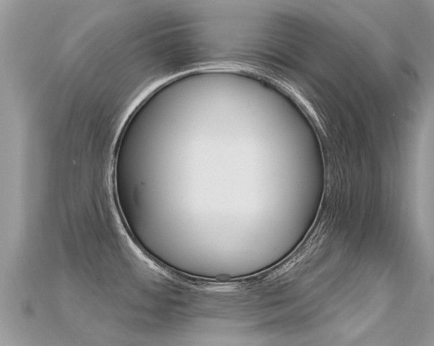 X0000115691484200911120957