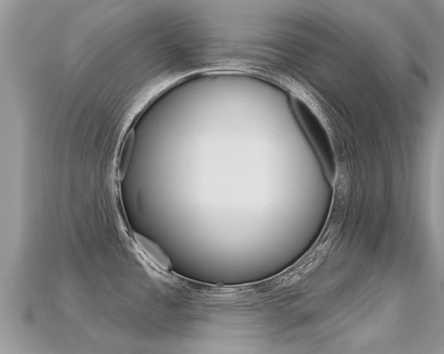 X0000115691485200911120957