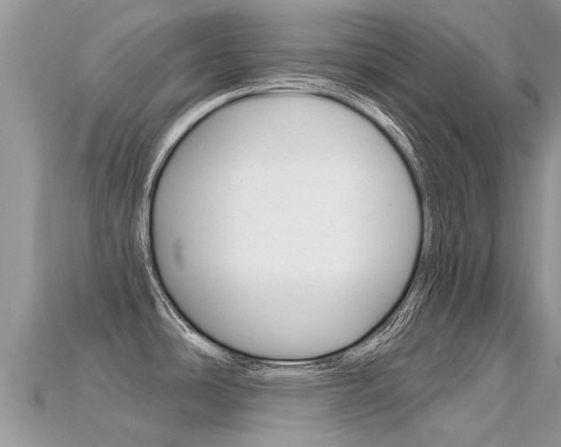 X0000115691486200911120957