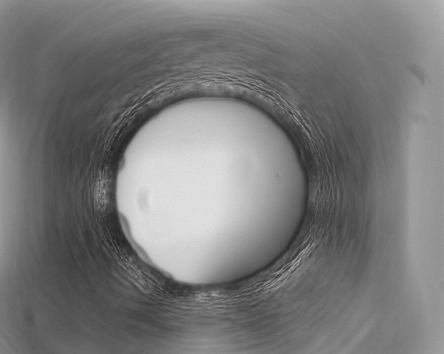 X0000115691490200911120956