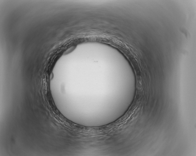 X0000115691493200911120956