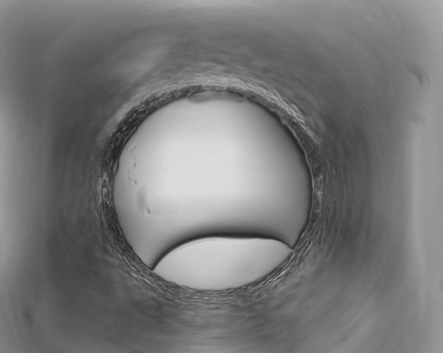 X0000115691495200911120956