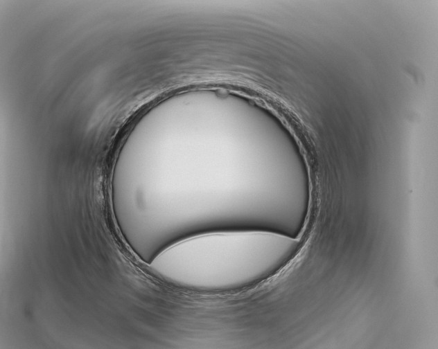 X0000115691497200911120956
