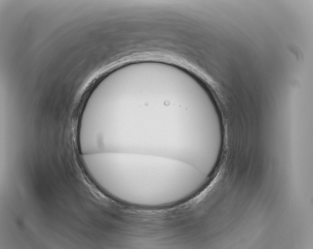X0000115691498200911120956