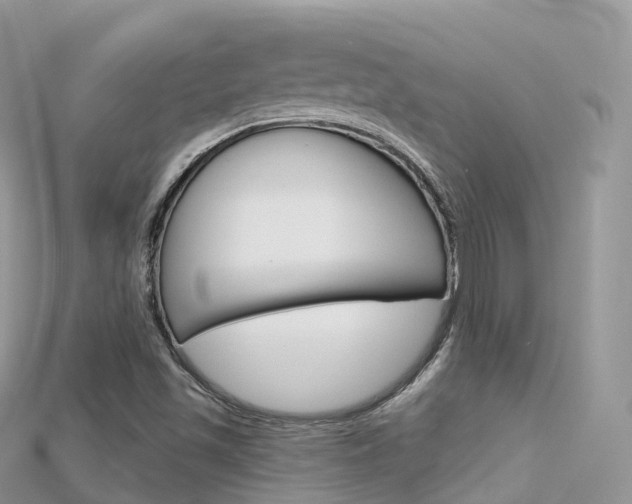 X0000115691501200911120956