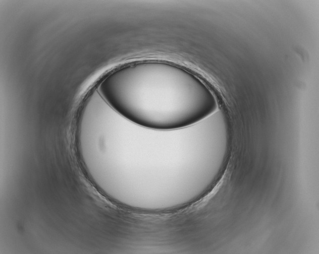 X0000115691502200911120956