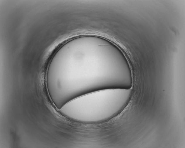 X0000115691503200911120957