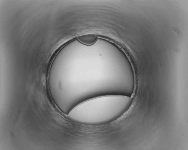 X0000115691505200911120957