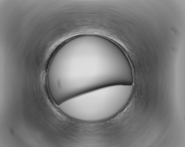 X0000115691507200911120957