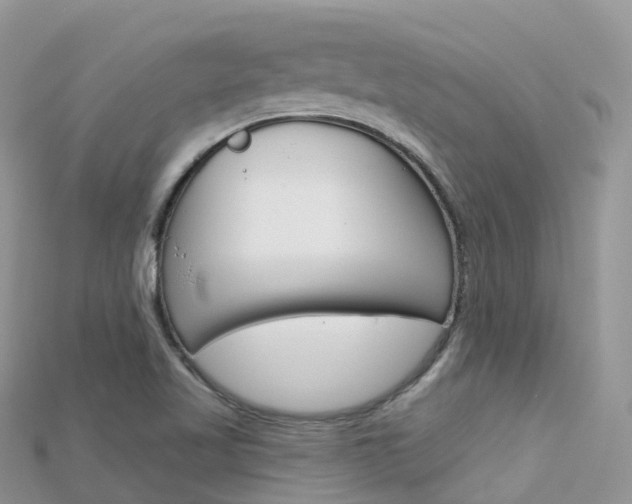 X0000115691509200911120957