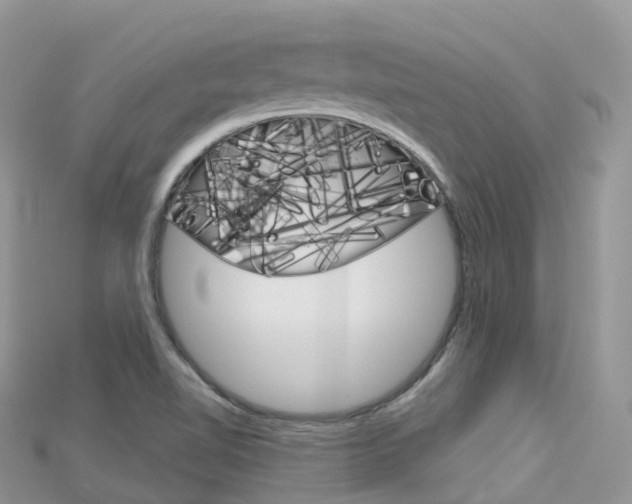 X0000115691510200911120957