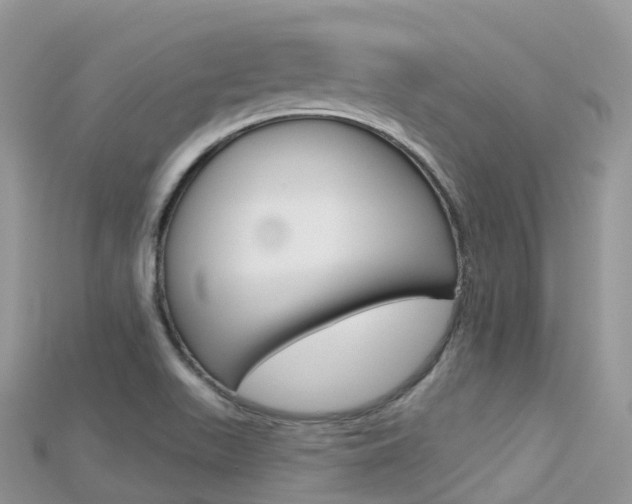 X0000115691511200911120957