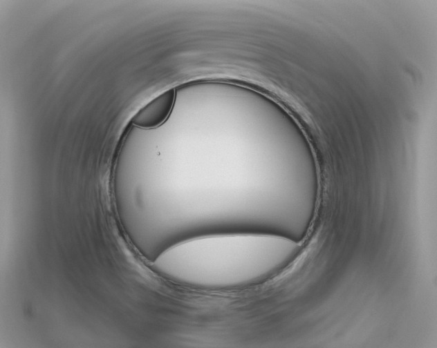 X0000115691513200911120957