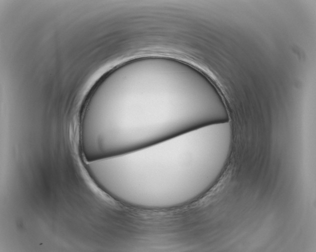 X0000115691515200911120957