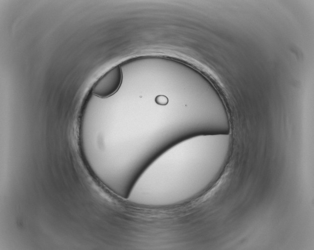 X0000115691517200911120957