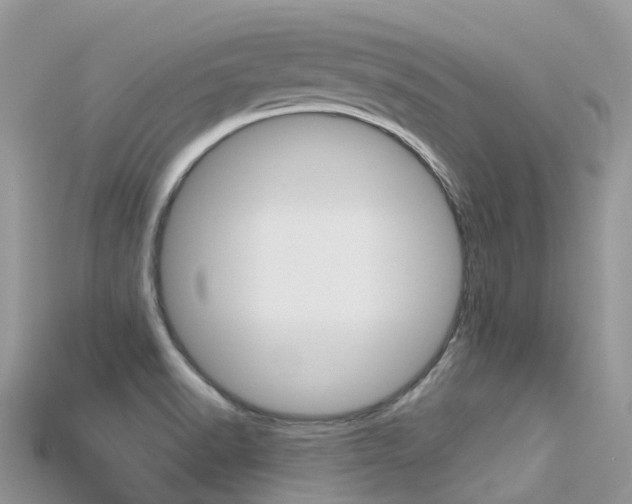 X0000115691518200911120957