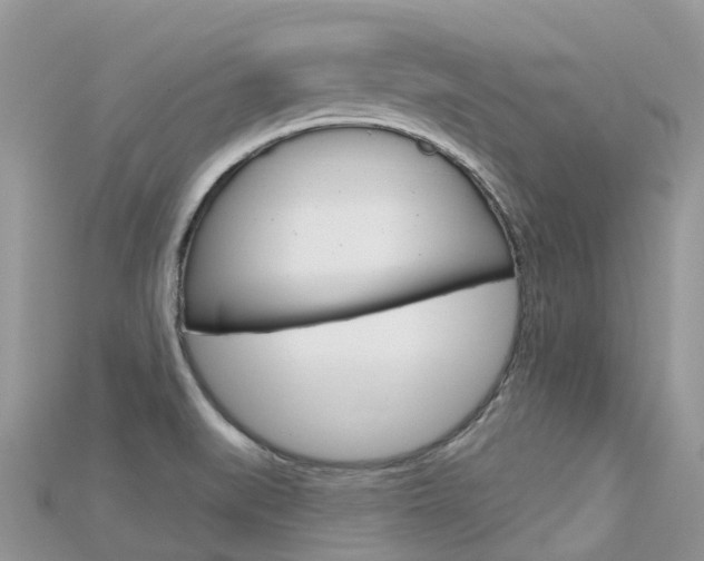 X0000115691519200911120957