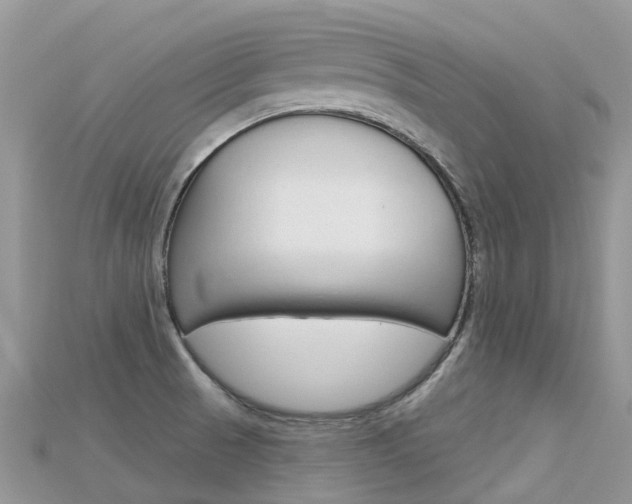 X0000115691521200911120957