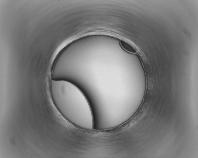 X0000115691522200911120957