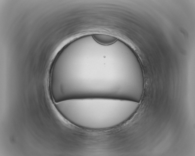 X0000115691523200911120957