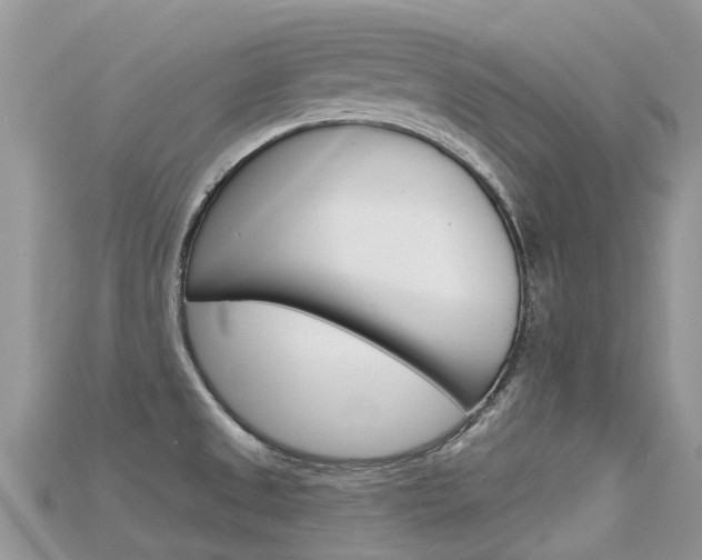 X0000115691525200911120957