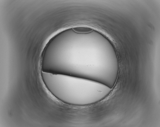 X0000115691526200911120957