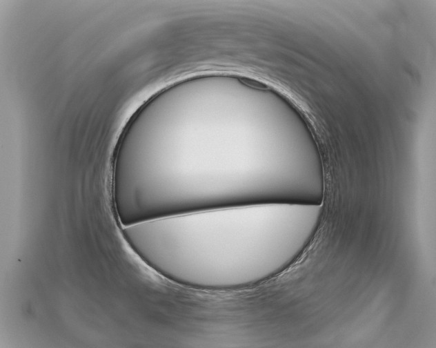 X0000115691527200911120957