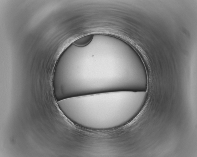 X0000115691529200911120957
