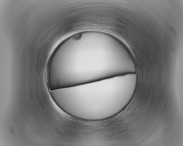 X0000115691531200911120957
