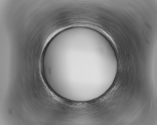 X0000115691533200911120957